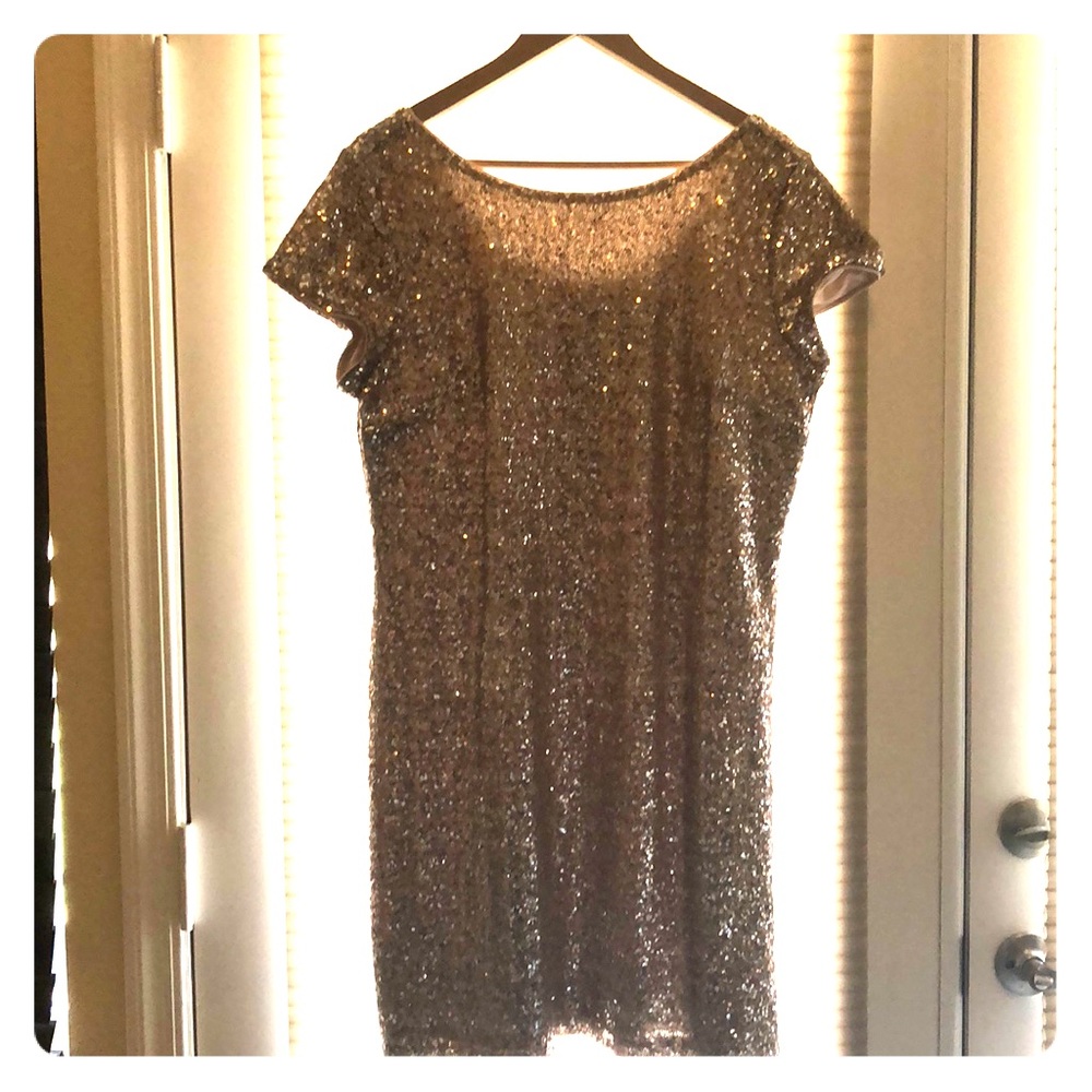 Sequence party dress (rose)